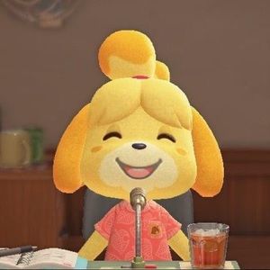 Meet your Posher, Zoey